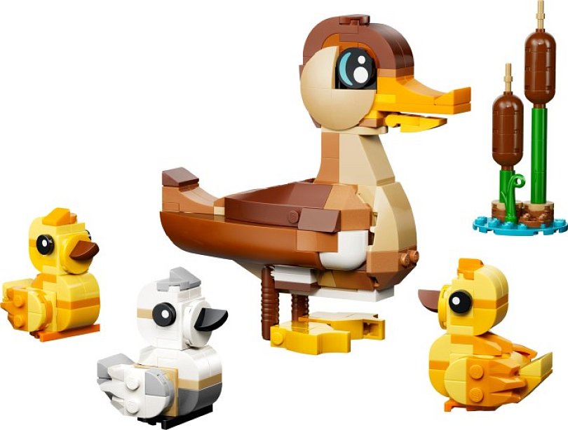 LEGO 40885 Duck Family – kachní rodinka s maminkou a třemi káčátky