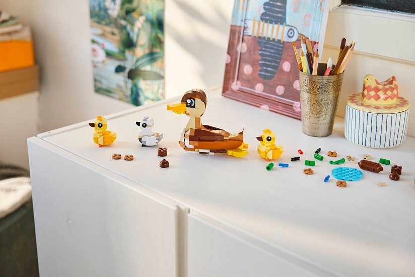 Detail stavby kachní rodinky