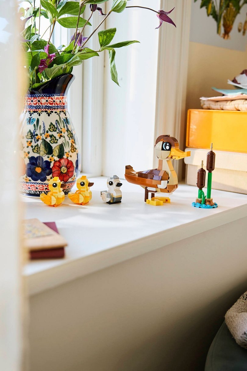 Kachní rodinka – lifestyle fotka