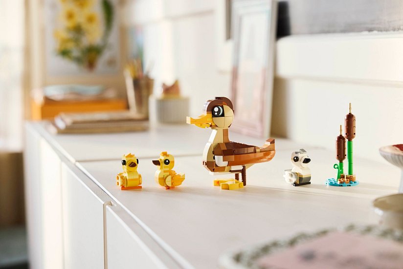 Kachní rodinka v prostředí