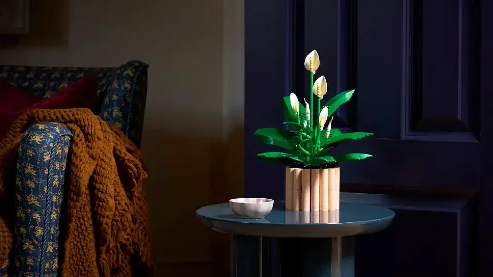 LEGO Botanicals 11504 Lopatkovec