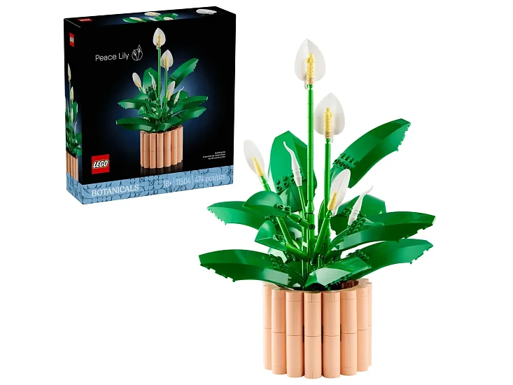 LEGO Botanicals 11504 Lopatkovec