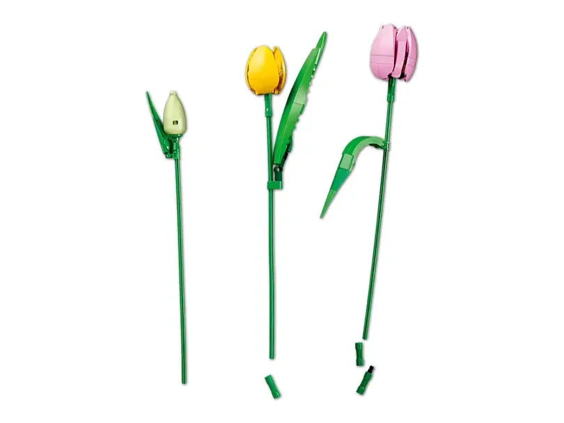 LEGO Botanicals 11501 Kytice tulipánů